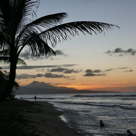 La Villa Caribeenne De La Plage Des Surfeurs La Trinité Exteriér fotografie