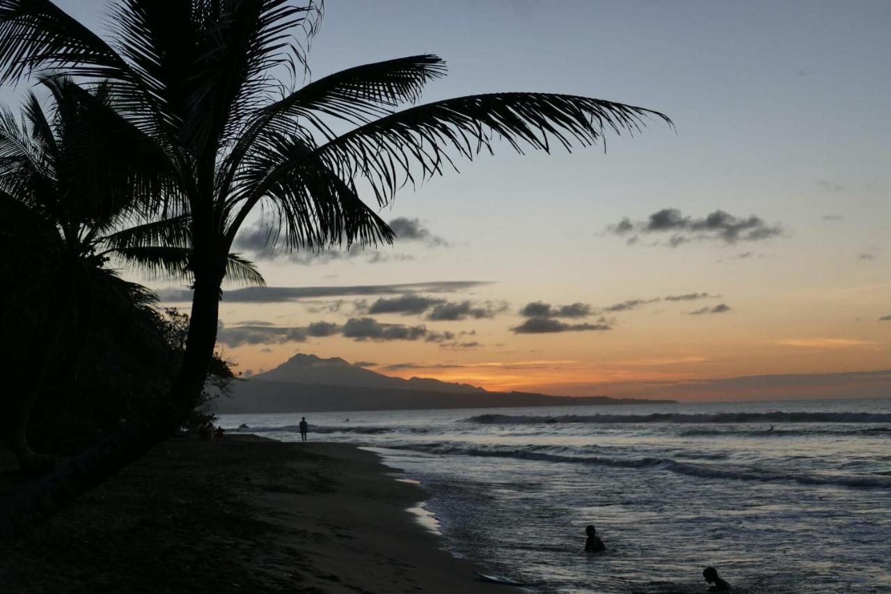 La Villa Caribeenne De La Plage Des Surfeurs La Trinité Exteriér fotografie